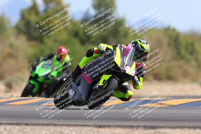 media/Mar-10-2024-SoCal Trackdays (Sun) [[6228d7c590]]/11-Turn 7 (130pm)/
